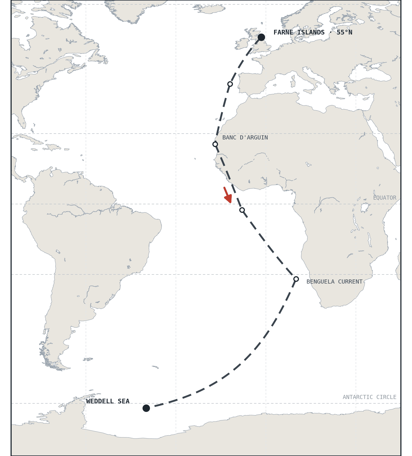 A route map of the Atlantic drawn in the Bureau's hand: a
dotted flight path running from the Farne Islands south
past West Africa, with pinned markers along it.